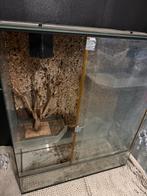 Terrarium XL 120x100x40, Dieren en Toebehoren, Reptielen en Amfibieën | Toebehoren, Ophalen, Gebruikt