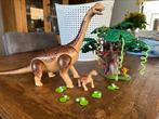Playmobil Dino, Ophalen of Verzenden, Zo goed als nieuw, Complete set