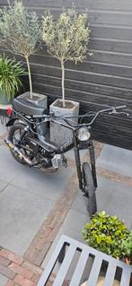 tomos a35 flexer, Fietsen en Brommers, Brommers | Tomos, Ophalen, Gebruikt, Maximaal 45 km/u, 65 cc