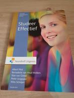 Albert Pilot - Studeer Effectief, Ophalen of Verzenden, Zo goed als nieuw, Albert Pilot; Bernadette van Hout-Wolters; Pieter Jongepier; ...