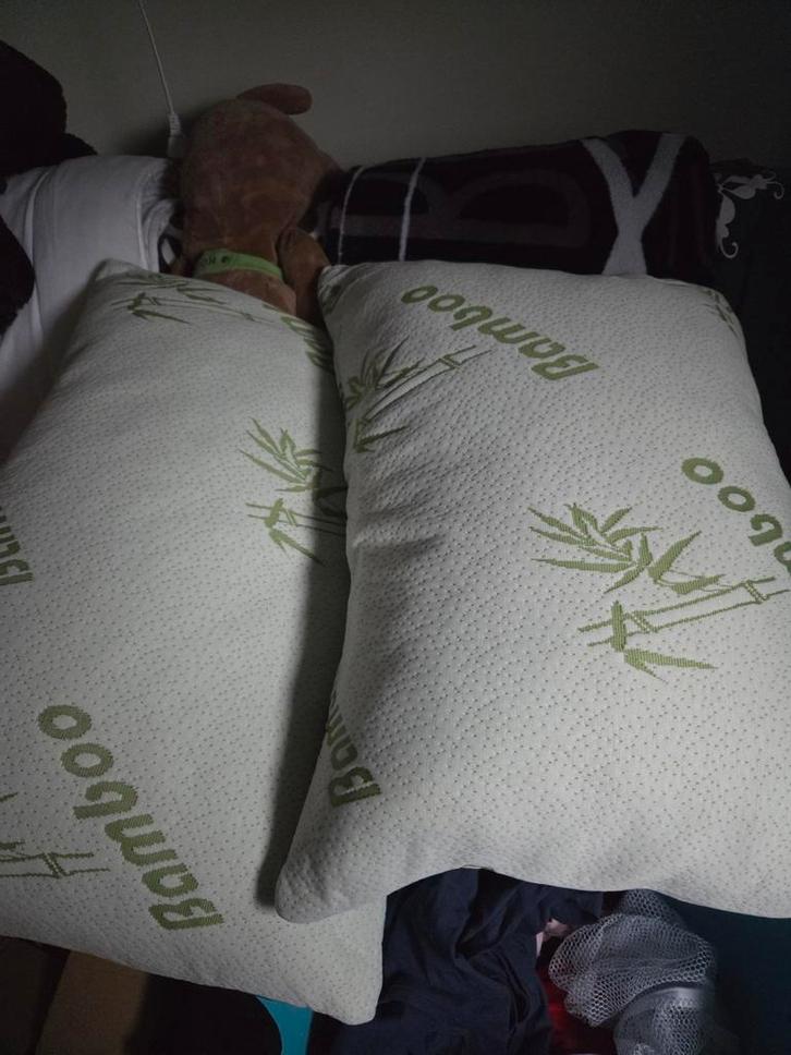 Nieuwe bamboe/ bamboo anti stress kussens, Huis en Inrichting, Slaapkamer | Beddengoed, Nieuw, Kussen, Eenpersoons, Ophalen of Verzenden