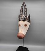 Kwele-stijl masker uit de DRC., Antiek en Kunst, Ophalen of Verzenden