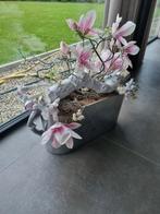 Bloembak Bloempot Bloemstuk Kunstbloem Orchidee, Huis en Inrichting, Woonaccessoires | Kunstplanten en Kunstbloemen, Ophalen of Verzenden