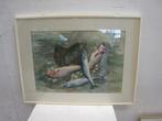 Aquarel van D, van Woensel, vissen, lijst 80x60, Antiek en Kunst
