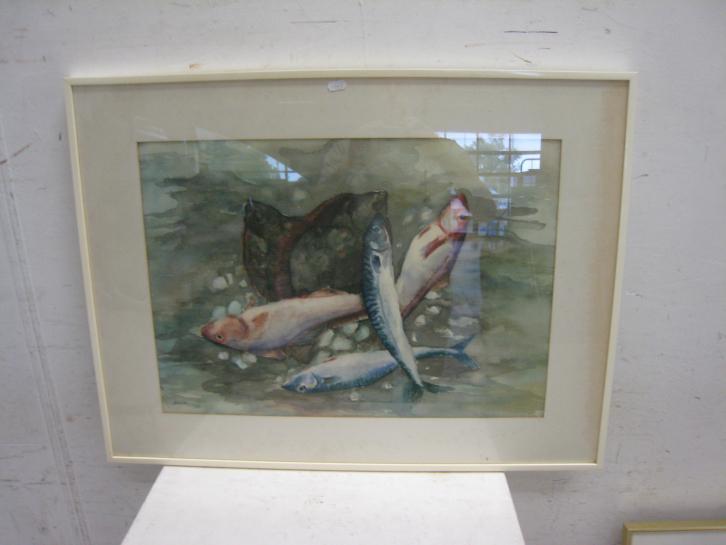 Aquarel van D, van Woensel, vissen, lijst 80x60, Antiek en Kunst, Kunst | Schilderijen | Modern