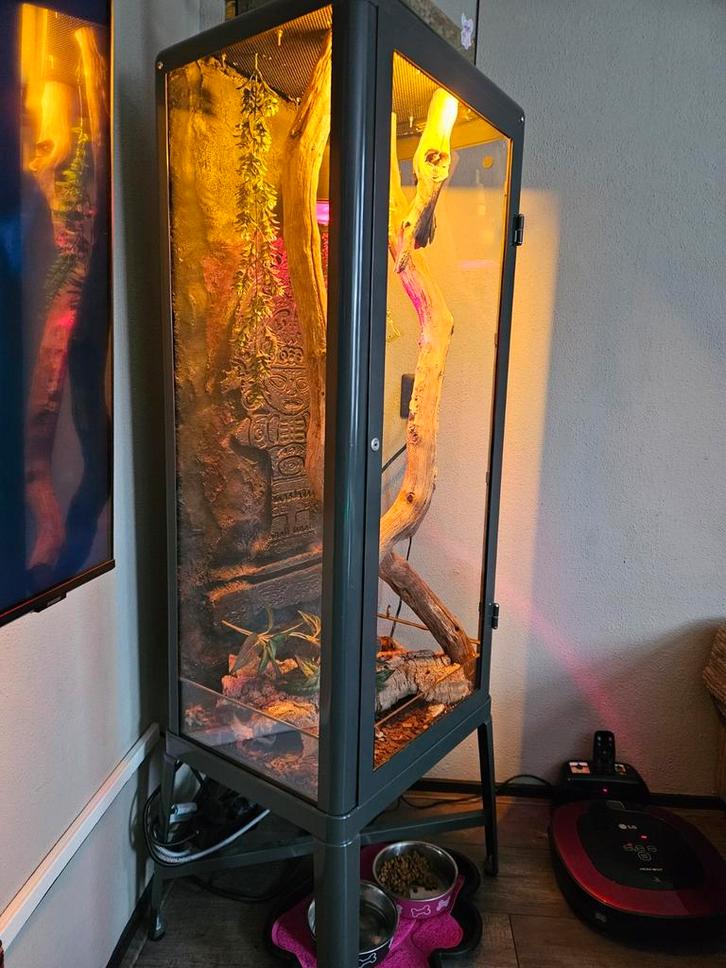 Leuke zelfgemaakte Terrarium met korenslang