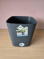 Elho greensense aqua care vierkant 30 cm, Tuin en Terras, Bloembakken en Plantenbakken, Tuin, Kunststof, Minder dan 30 cm, Vierkant