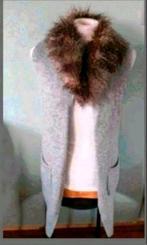 Grijs vest met bont kraag, Kleding | Dames, Ophalen of Verzenden, Zo goed als nieuw, Maat 42/44 (L), Grijs