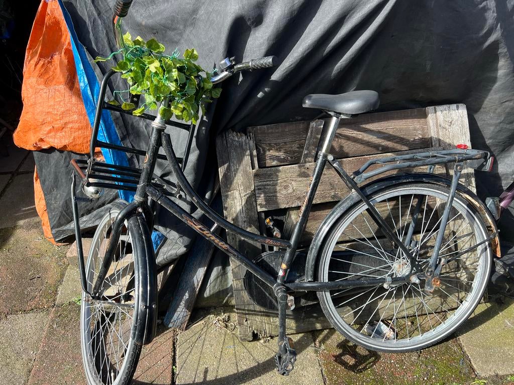 Meisjes/damesfiets in goede staat - Limit Cycles, Ophalen, Gebruikt, 24 inch, Handrem