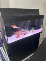 Juwel rio 180 met helialux spectrum, Ophalen of Verzenden, Zo goed als nieuw, Verlichting of Verwarming