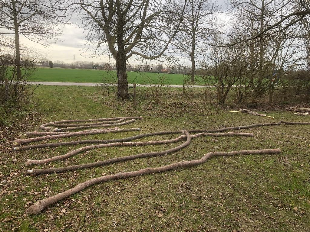 Gratis af te halen: drainage slangen, Tuin en Terras, Overige Tuin en Terras, Gebruikt, Ophalen