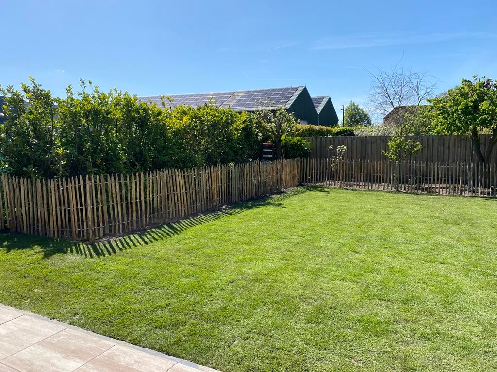Schapen hekken 170 cm en 100 cm hoog, Tuin en Terras, Tuinhekken en Hekwerk, Ophalen, Nieuw, Hout, Tuinhek