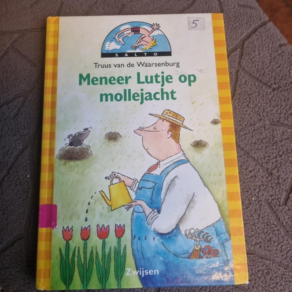 Meneer Lutje op Mollejacht - Truus van de Waarsenburg avi E4, Boeken, Ophalen of Verzenden, Gelezen