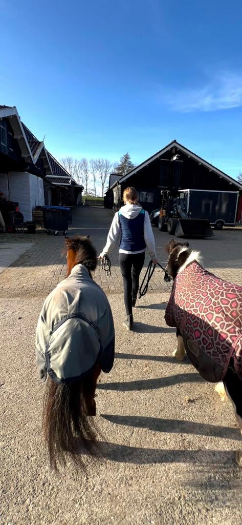 16jr verzorgster/bijrijdster aangeboden, Dieren en Toebehoren, Paarden en Pony's | Verzorgingsproducten, Zo goed als nieuw, Ophalen