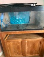 Jewel aquarium + kast + toebehoren, Dieren en Toebehoren, Vissen | Aquaria en Toebehoren, Ophalen, Zo goed als nieuw, Gevuld zoetwateraquarium