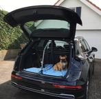 Hondenrek met scheidingsrooster voor Audi Q5 (vanaf 2016), Ophalen, Gebruikt