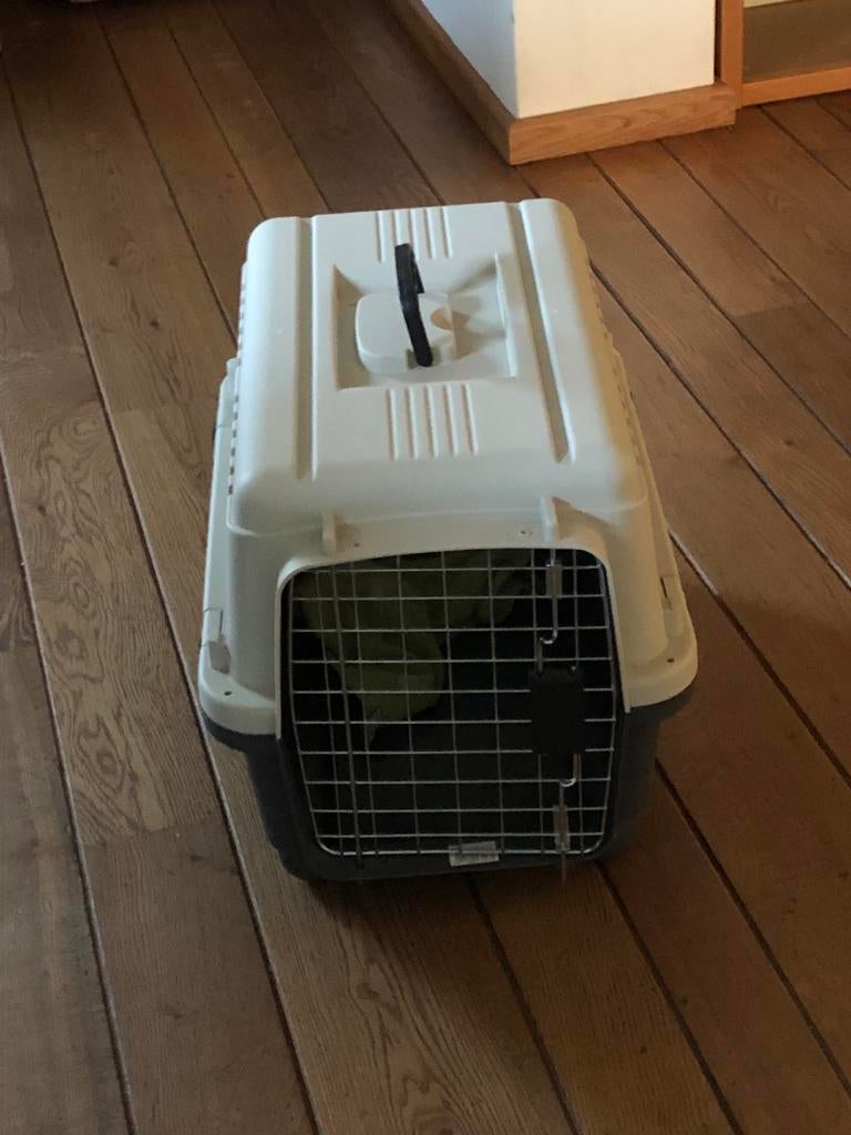 Te koop honden/ katten reis  bench, Dieren en Toebehoren, Ophalen of Verzenden, Zo goed als nieuw
