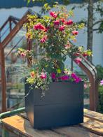 Nieuw, grote vorraad | Plantenbak | Bloembak | Bloempot, Ophalen, Gebruikt, Minder dan 60 cm, Vierkant