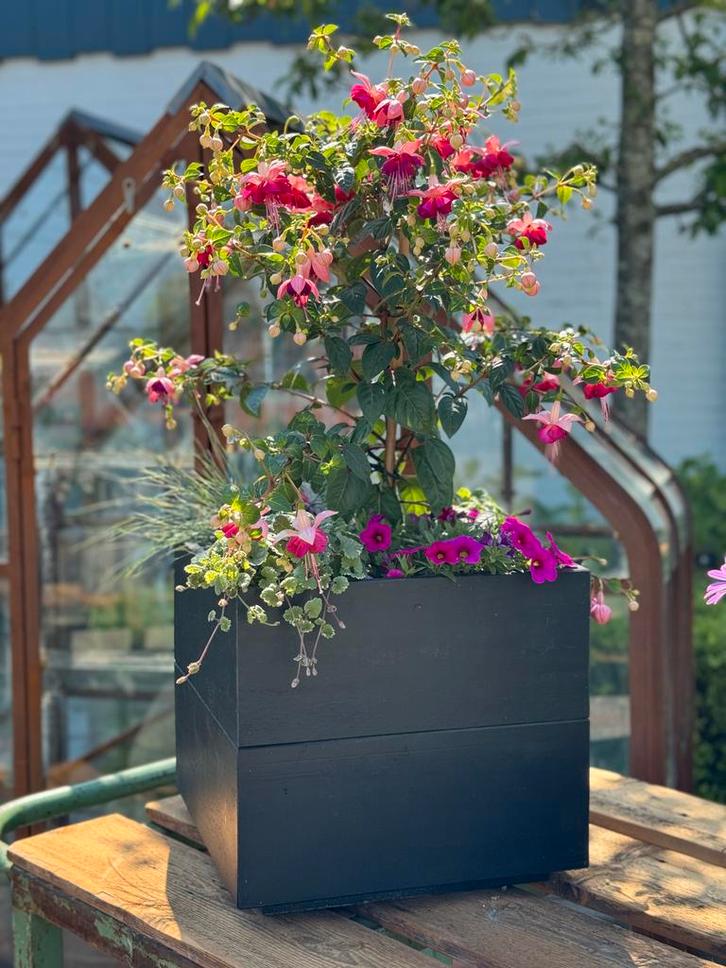 Nieuw, grote vorraad | Plantenbak | Bloembak | Bloempot, Tuin en Terras, Bloembakken en Plantenbakken, Gebruikt, Hout, Tuin, 30 tot 60 cm