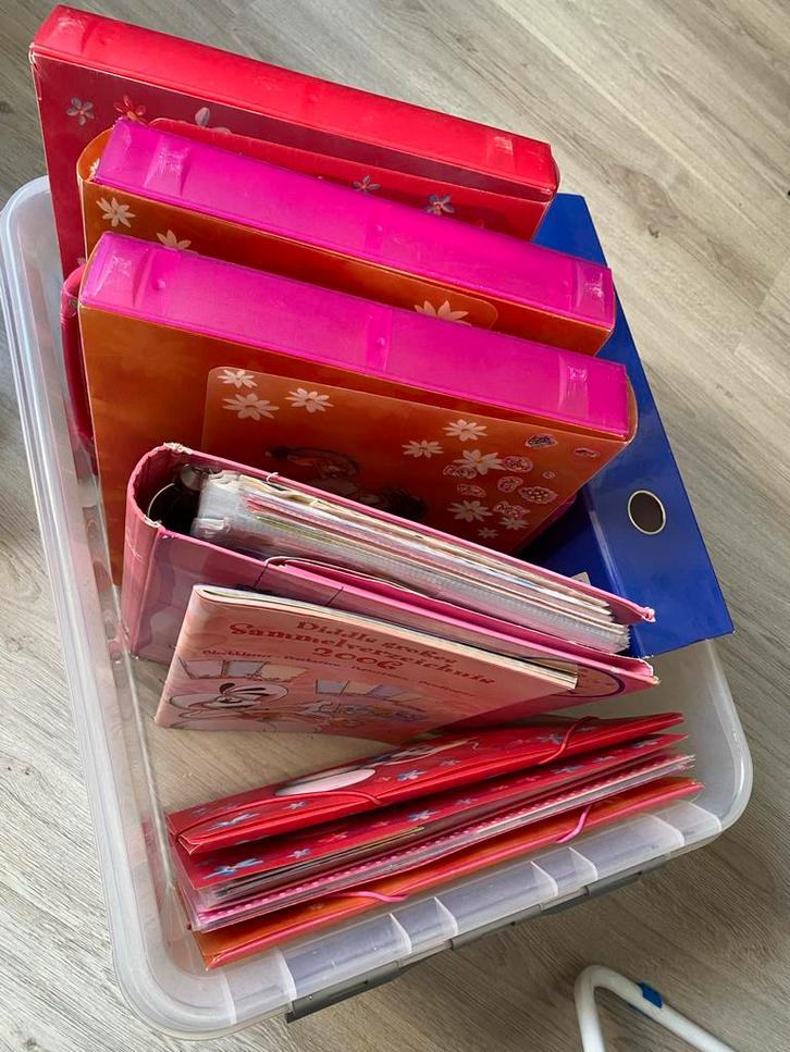 Grote doos vol Diddl spullen - verzameling, Verzamelen, Diddl, Gebruikt, Overige typen, Diddl, Ophalen of Verzenden