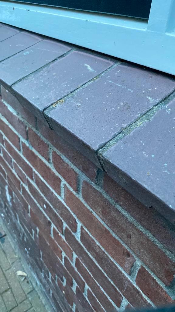 14 raamdorpels gezocht, Doe-het-zelf en Verbouw, Metselstenen, Zo goed als nieuw, Bakstenen, Ophalen of Verzenden