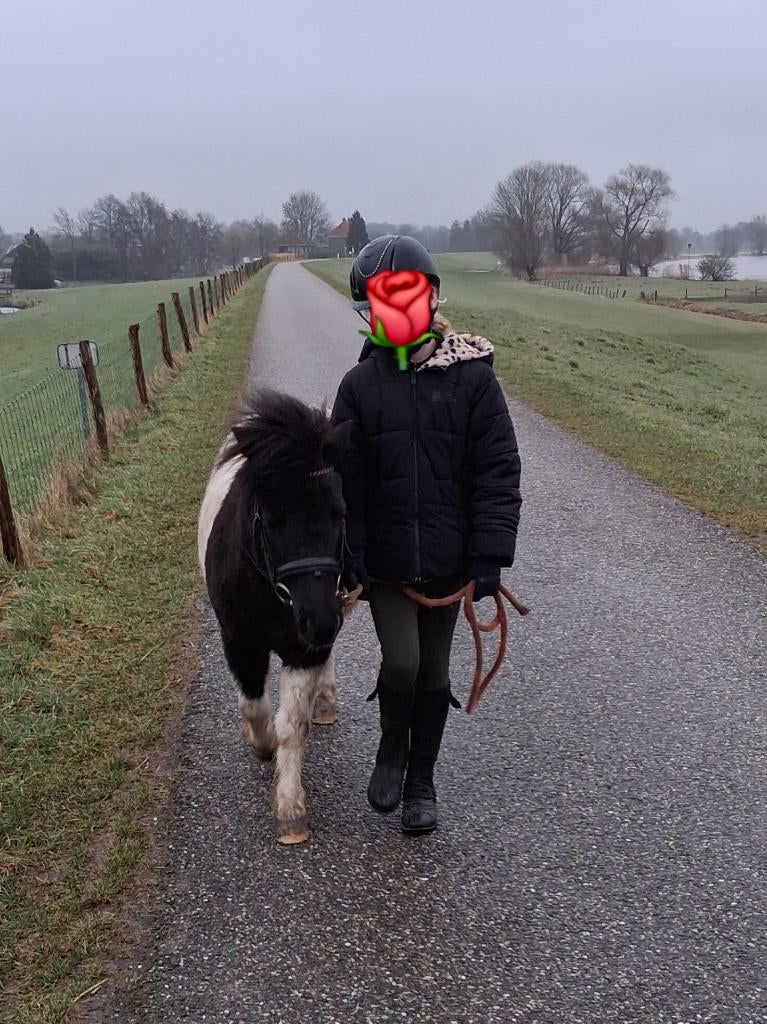 Verzorger/bijrijdster aangeboden, Ophalen, Nieuw