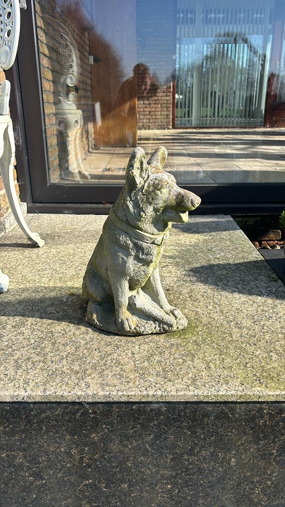 Herdershond beeld - 45 cm hoog, Verzamelen, Ophalen, Gebruikt, Dier