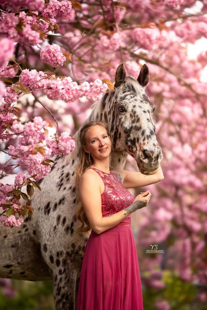 Stippel paard te huur voor fotoshoots, Ophalen of Verzenden, Nieuw, Overige soorten