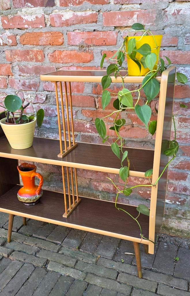 Vintage, design plantentafel. Kastje. Jaren 60, Ophalen