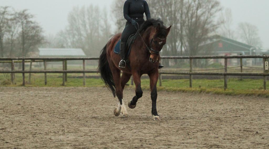 Serieuze bijrijder/verzorger/leaser aangeboden!