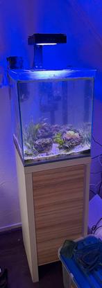 Zeeaquarium compleet met levende have, Dieren en Toebehoren, Vissen | Aquaria en Toebehoren, Ophalen, Gebruikt