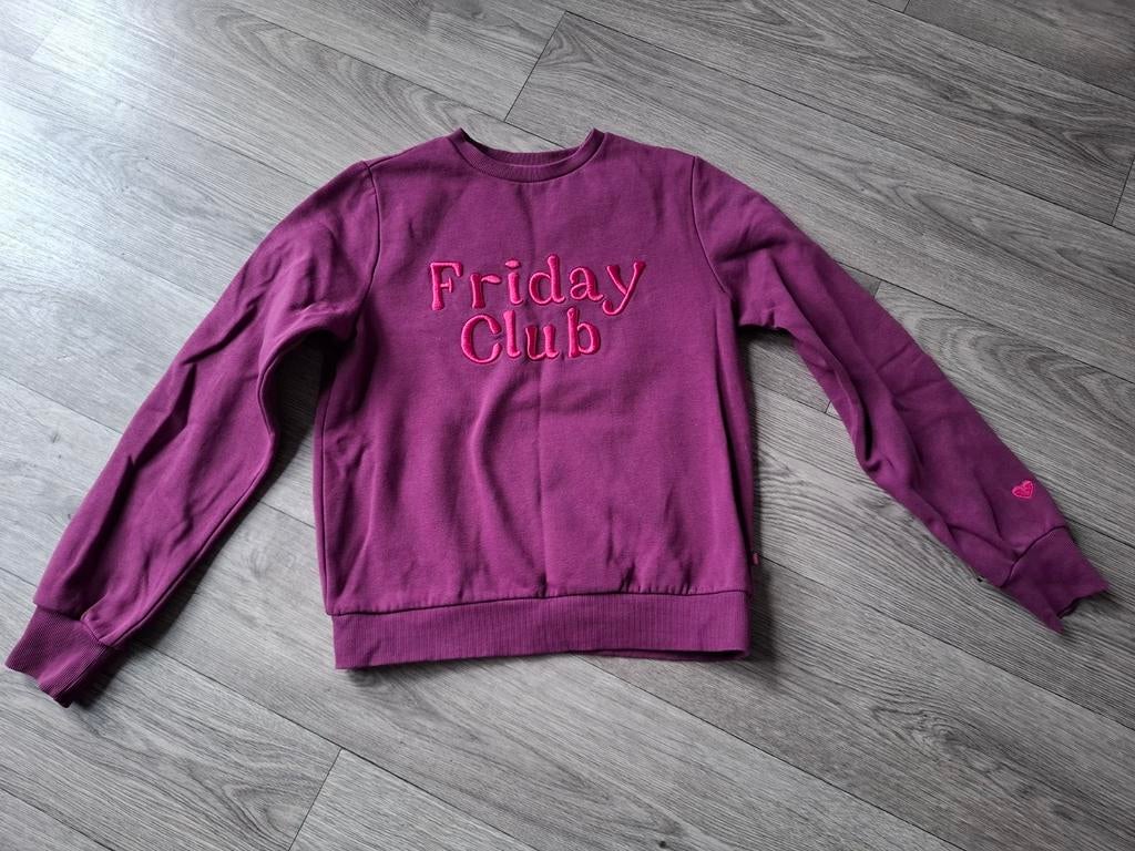 Super leuke trui WE Maat 170/176, Kinderen en Baby's, Kinderkleding | Maat 170, WE, Meisje, Trui of Vest, Ophalen of Verzenden