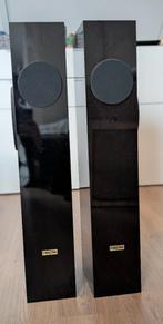 Hepta speakers MK2, Gebruikt, 60 tot 120 watt, Front, Rear of Stereo speakers, Ophalen