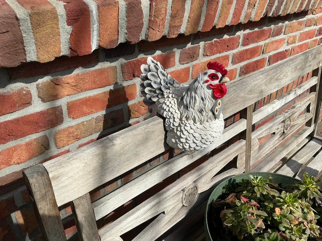 NIEUW schutting kip wit ook leuk op een bankje of hek, Ophalen of Verzenden, Nieuw, Hout