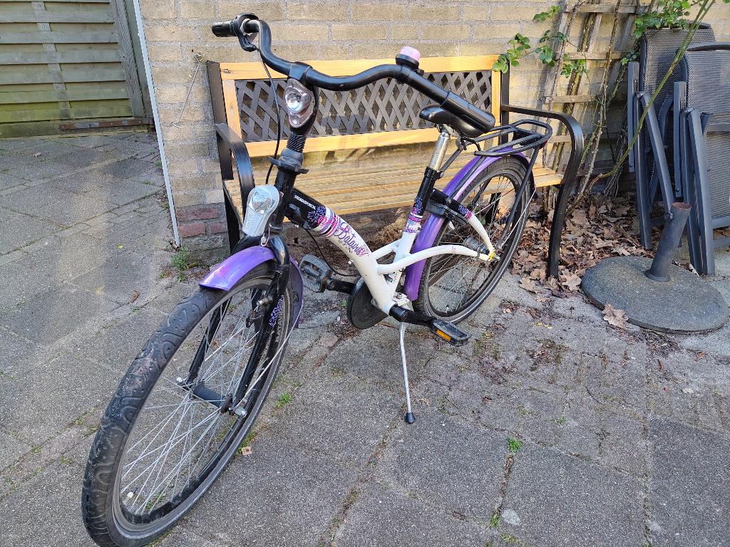 Batavus Gabana - 24", Fietsen en Brommers, Ophalen, Terugtraprem, Versnellingen, Batavus Diva