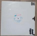 Little Lenny - Punnany Tegereg, Cd's en Dvd's, Vinyl | Overige Vinyl, Ophalen of Verzenden, Zo goed als nieuw, 12 inch