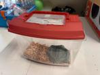 Kunststof terrarium voor een reptiel, Dieren en Toebehoren, Ophalen