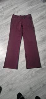 Hele mooie broek van Dreamstar, Kleding | Dames, Dreamstar, Overige kleuren, Ophalen of Verzenden, Zo goed als nieuw