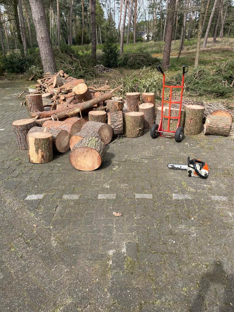 Vers gezaagd dennenhout - ca. 4m³, Tuin en Terras, Haardhout, 3 tot 6 m³, Ophalen, Overige houtsoorten, Blokken