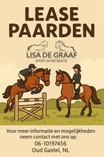 Lease paarden beschikbaar!!, Verzorging of Verzorgpony's