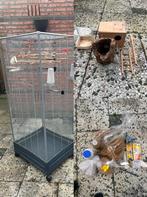 COMPLEET Vogelkooi + Accessoires + Voer, Ophalen, Zo goed als nieuw, Metaal, Vogelkooi