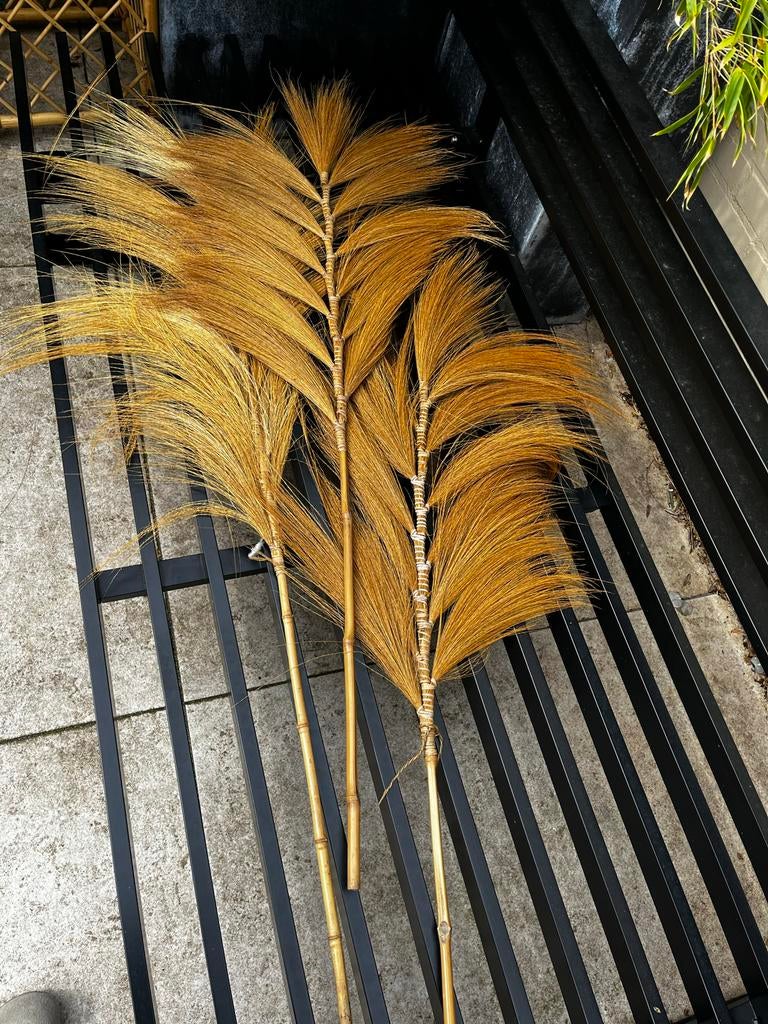 Decoratieve gedroogde palmblad tak beachclub vibes, Huis en Inrichting, Ophalen, Boho, Nieuw, Natuurlijk materiaal