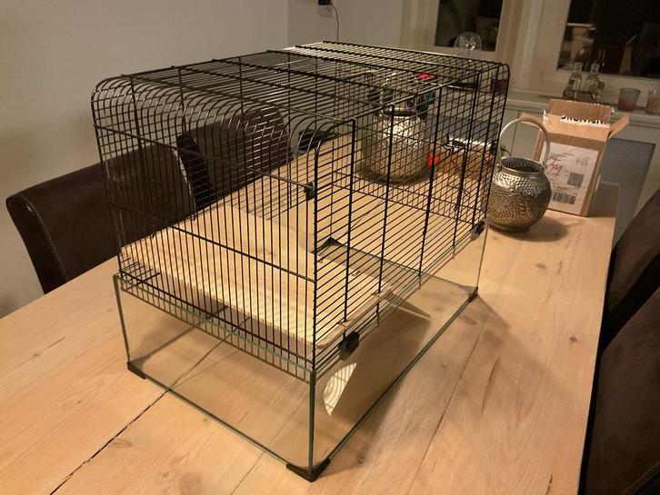 Knaagdieren hok zo goed als nieuw, Dieren en Toebehoren, Knaagdieren en Konijnen | Hokken en Kooien, Zo goed als nieuw, Hok, Minder dan 60 cm