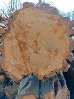 Stamhout eiken acasia berk beuk douglas haardhout hout, Tuin en Terras, Haardhout, 6 m³ of meer, Ophalen, Overige houtsoorten
