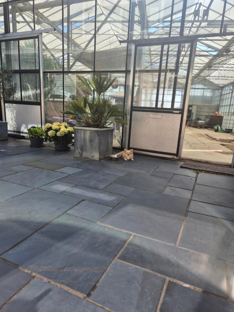Hobby kas op maat.leveren van kas materiaal en glas, Ophalen of Verzenden, Beton, Minder dan 5 m², Overige typen