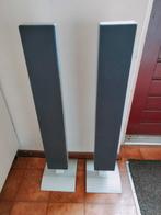 Daewoo DP-SP21 Plasma Display Monitor Speakers, Audio, Tv en Foto, Luidsprekers, Overige merken, Gebruikt, Ophalen of Verzenden