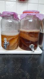 Kombucha scoby, Ophalen