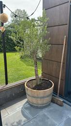 Te koop prachtige mooie eikenhouten bloembakken, Tuin en Terras, Ophalen, Rond, Nieuw, 60 tot 100 cm