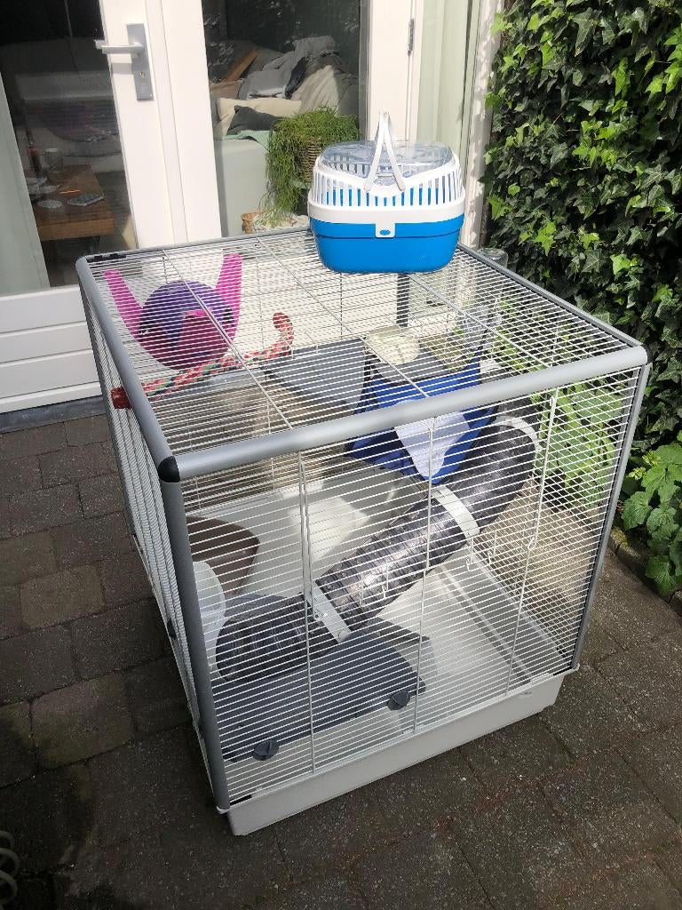Ferplast rattenkooi / frettenkooi + accesoires en reiskoffer, Ophalen, Kooi, 60 tot 90 cm, Zo goed als nieuw
