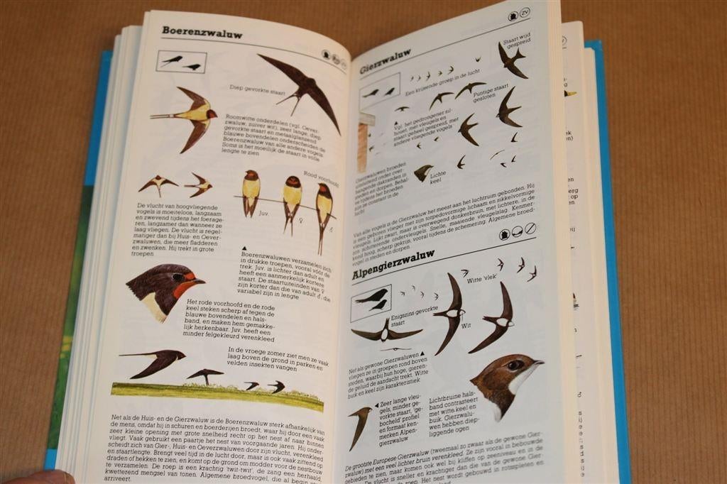 Zakgids Vogels — Alle Vogels Herkennen — Vogelbescherming, Ophalen of Verzenden, Zo goed als nieuw, Vogels